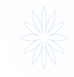 星空·体育(Xingkong)官方网站-XINGKONGSPORTS